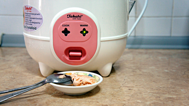 rice cooker kitchen counter